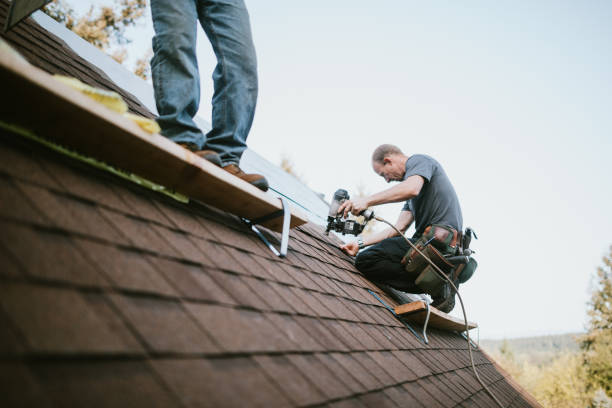 Quick and Trustworthy Emergency Roof Repair Services in Zapata, TX